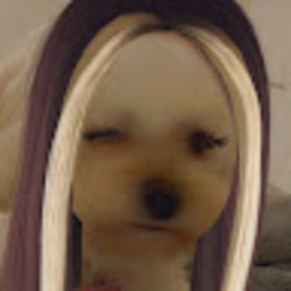 Meet your Posher, Gina - Picture 1 of 1